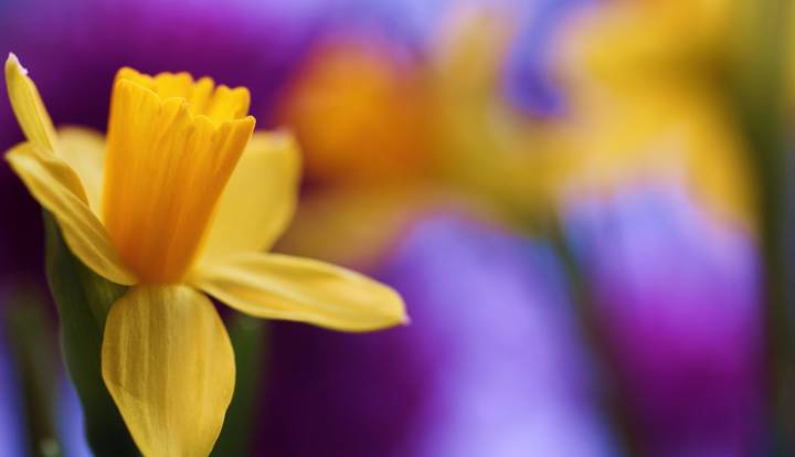 PREGHIAMO PER I MORTI