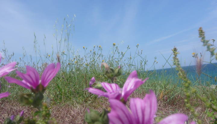 TRE CARATTERISTICHE DELLA MISERICORDIA