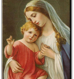 “Un mese a Maria” – 14° giorno –