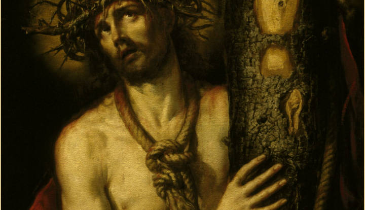 Con Maria contempliamo la Passione di Gesù sulla Sindone /3