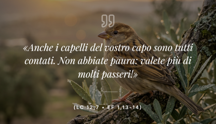 Venerdì 16 Ottobre